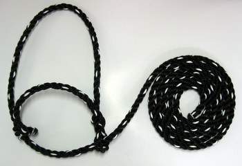 Cattle Halters, Leads & Bull Rings - Show Stopper Equipment