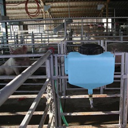 Waterers for Show Pigs - Show Stopper